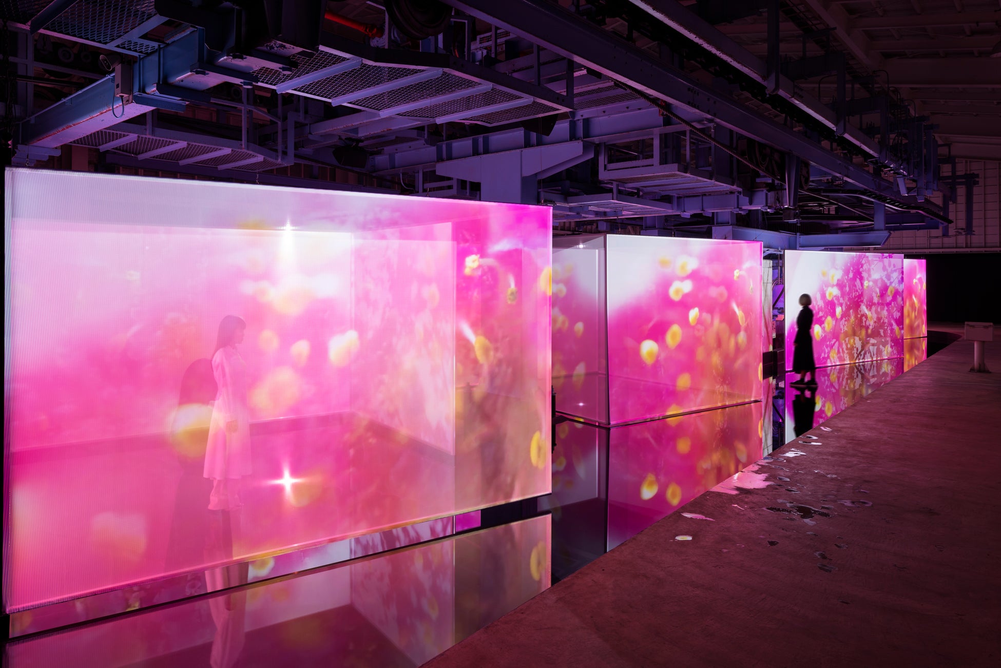 博展、蜷川実花氏・宮田裕章氏との共同プロジェクト【安比Art project 「胡蝶の旅 Embracing Lights」】が安比高原スキー場にて開催中のサブ画像1