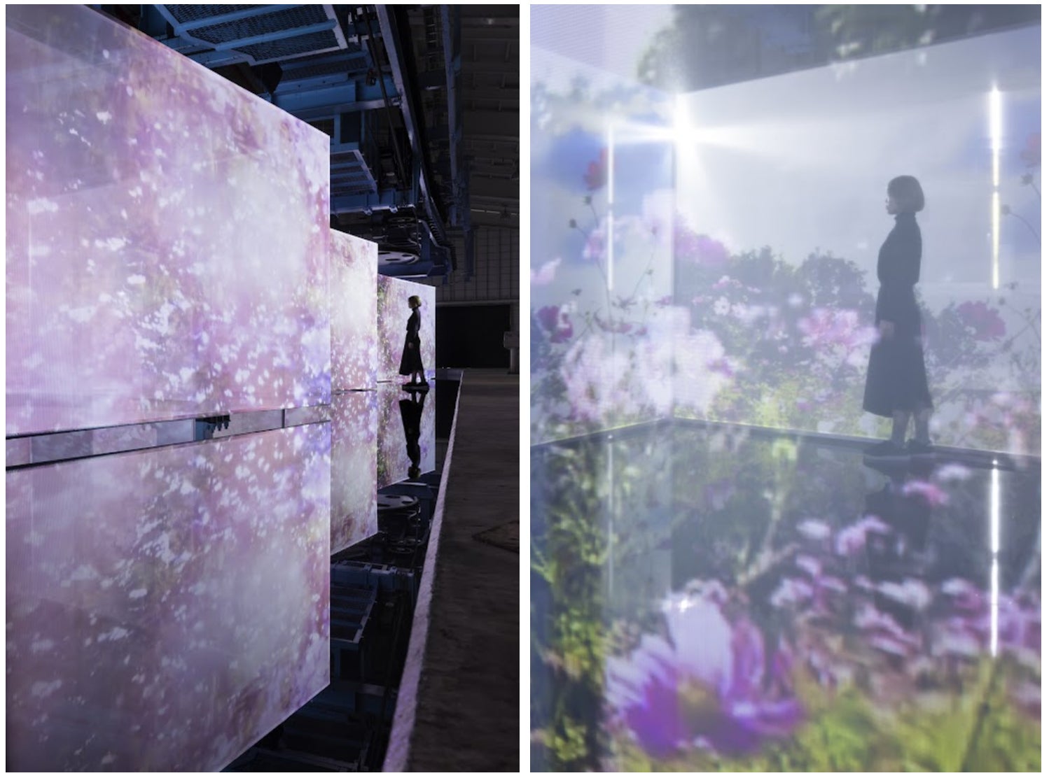 博展、蜷川実花氏・宮田裕章氏との共同プロジェクト【安比Art project 「胡蝶の旅 Embracing Lights」】が安比高原スキー場にて開催中のサブ画像3