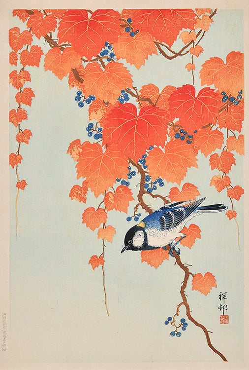 【茅ヶ崎市美術館】11月6日まで開催中！展覧会「THE 新版画　版元・渡邊庄三郎の挑戦」のサブ画像7_小原祥邨《山葡萄に四十雀》 昭和初期