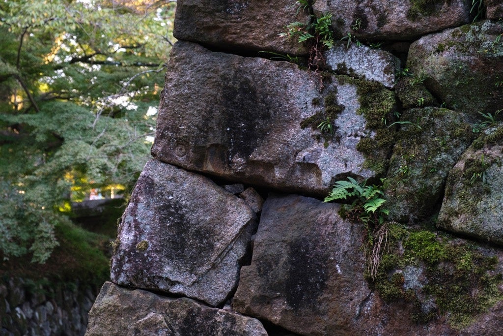 アートを楽しむ11日間～かめおか霧の芸術祭「城跡芸術展」～のサブ画像2_亀山城址