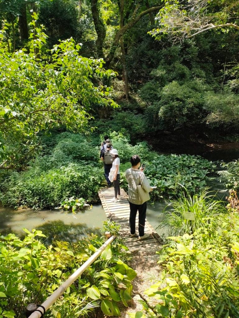 アートを楽しむ11日間～かめおか霧の芸術祭「城跡芸術展」～のサブ画像6_花明山植物園
