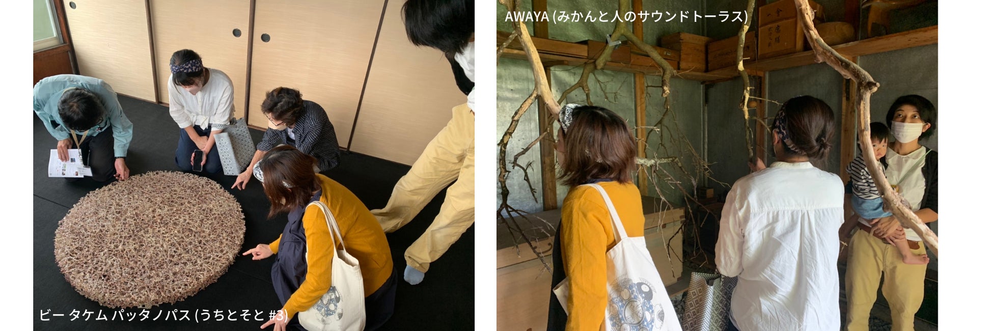 「みかんマンダラ展」和歌山県田辺市で10月16日（日）まで開催中！のサブ画像4