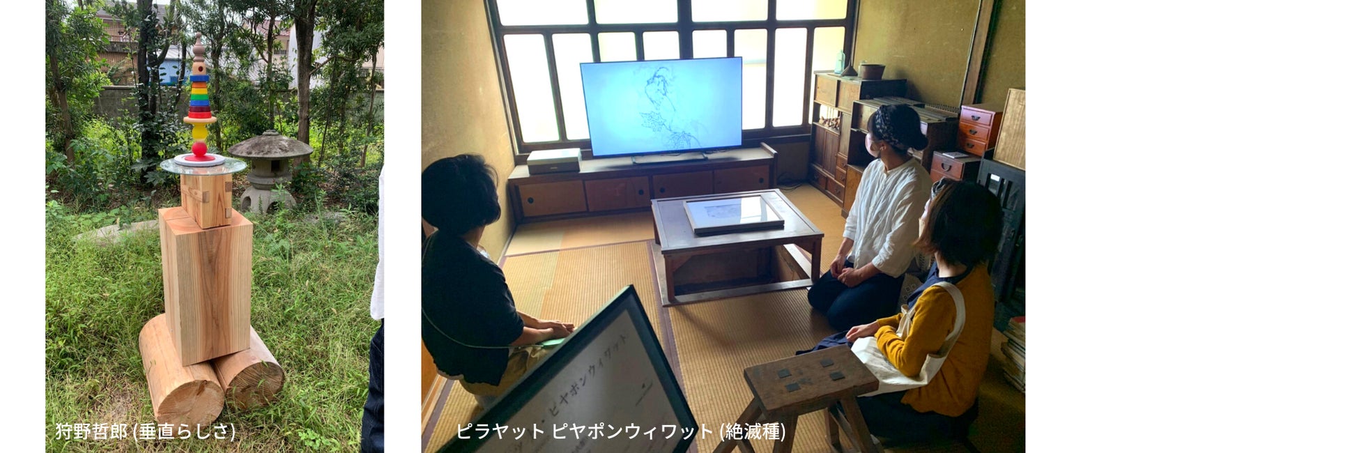 「みかんマンダラ展」和歌山県田辺市で10月16日（日）まで開催中！のサブ画像5