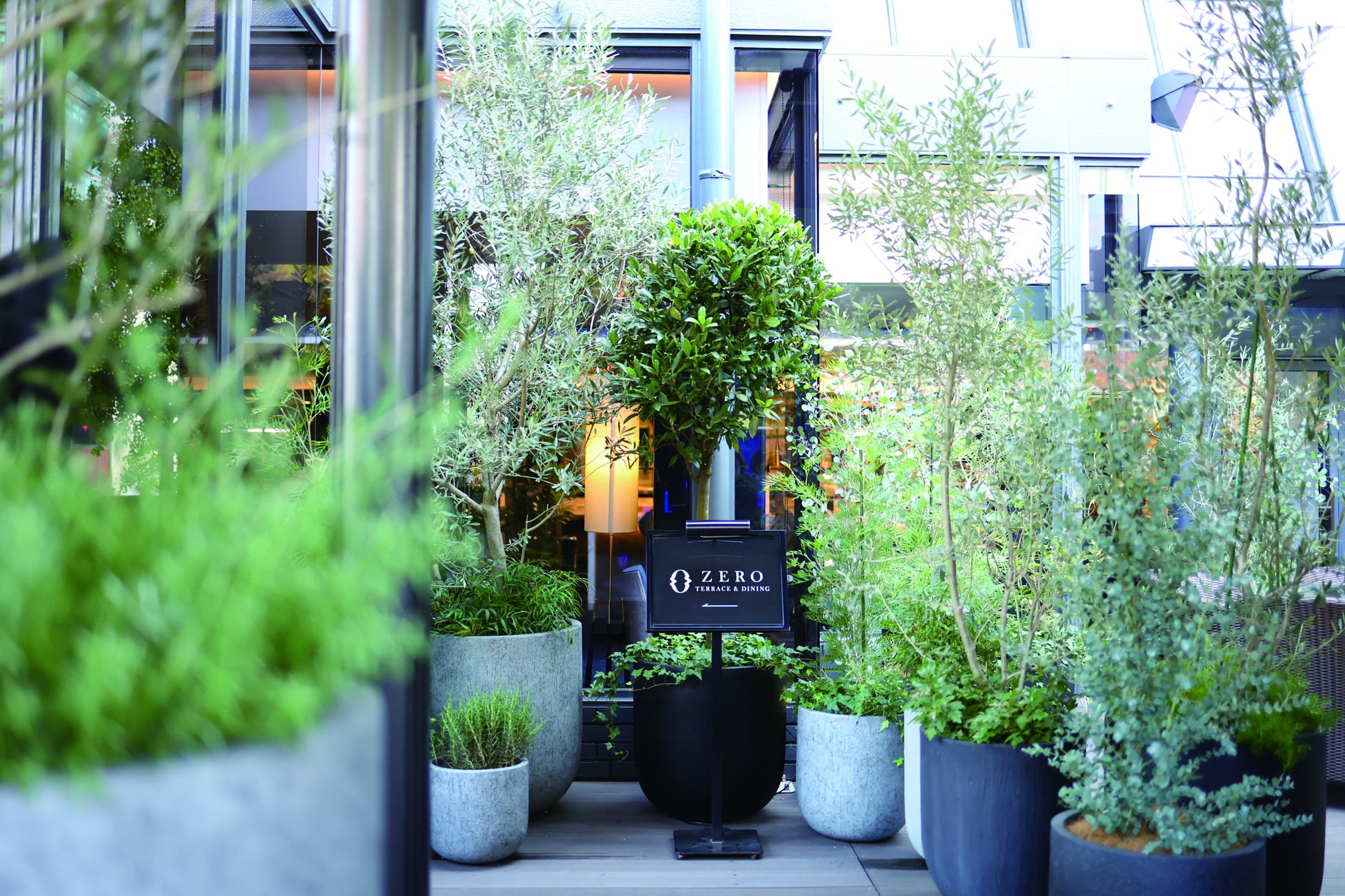 【クロスホテル大阪】「TERRACE & DINING ZERO」緑に囲まれたアーバンオアシスをお届けするレストランとしてリニューアルのサブ画像3_レストラン店内へと誘うアプローチ