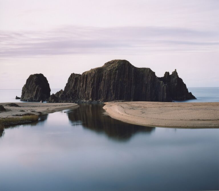 企画展「Taiza, Tango」 開催のメイン画像