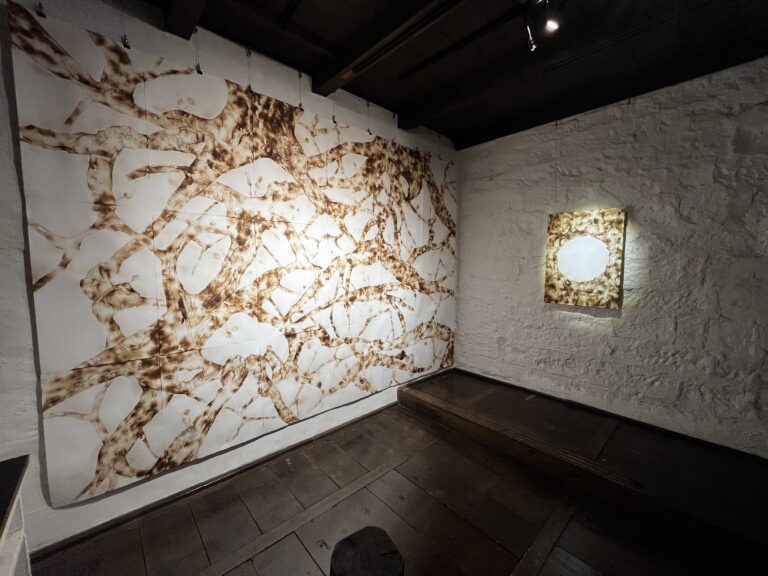 日本伝統の室内遊び「あぶり絵」現代アート 11/3から文京区根津にて展覧会のメイン画像