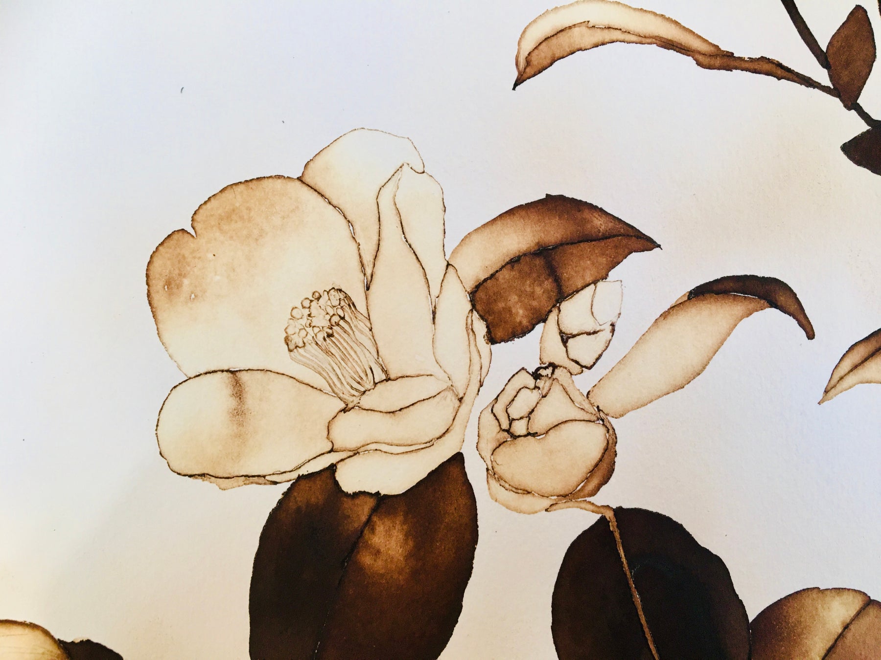 日本伝統の室内遊び「あぶり絵」現代アート 11/3から文京区根津にて展覧会のサブ画像6_椿