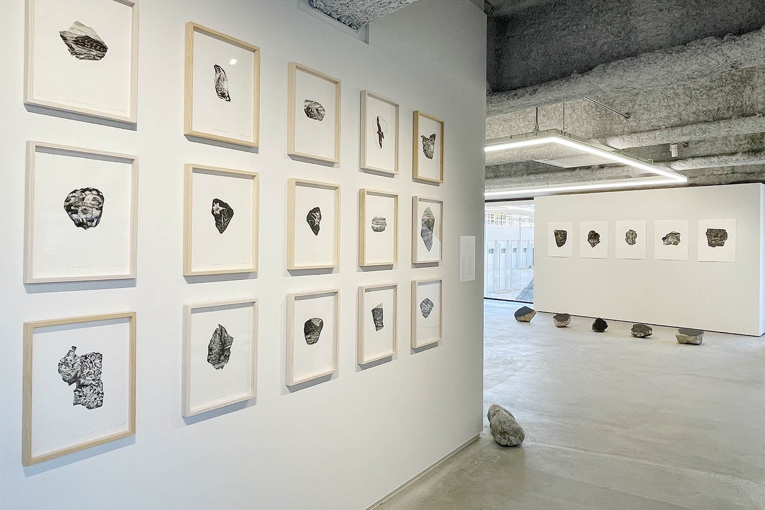 京都精華大学主催展覧会「Seika Artist File #1『ゆらめくいきものたち』」開催中のサブ画像4