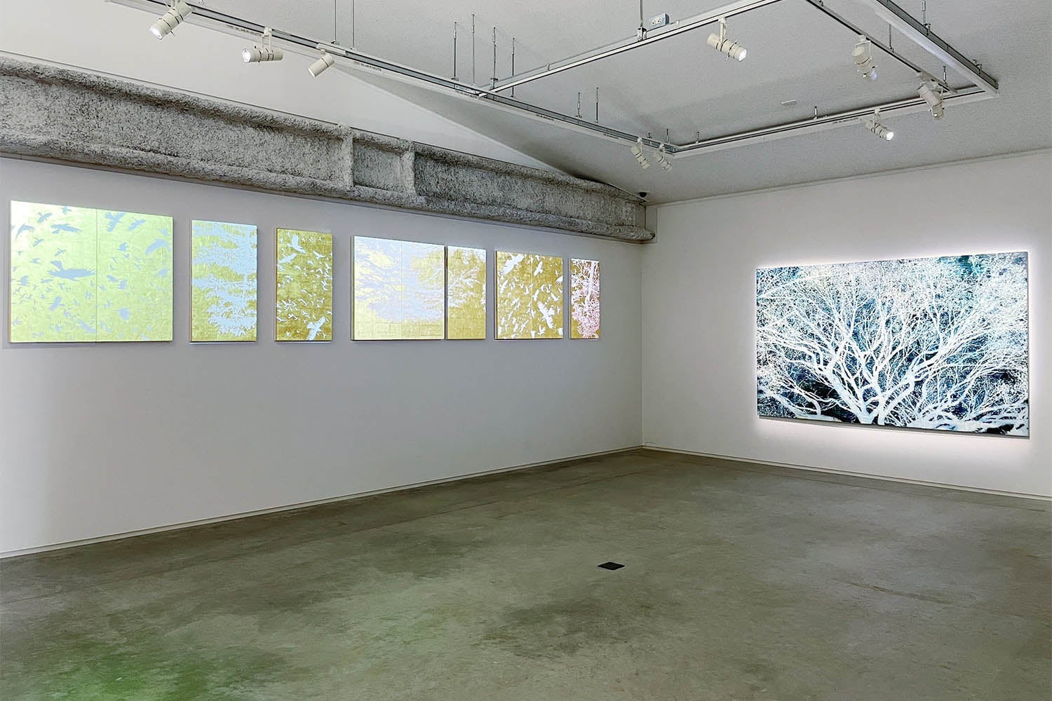 京都精華大学主催展覧会「Seika Artist File #1『ゆらめくいきものたち』」開催中のサブ画像7
