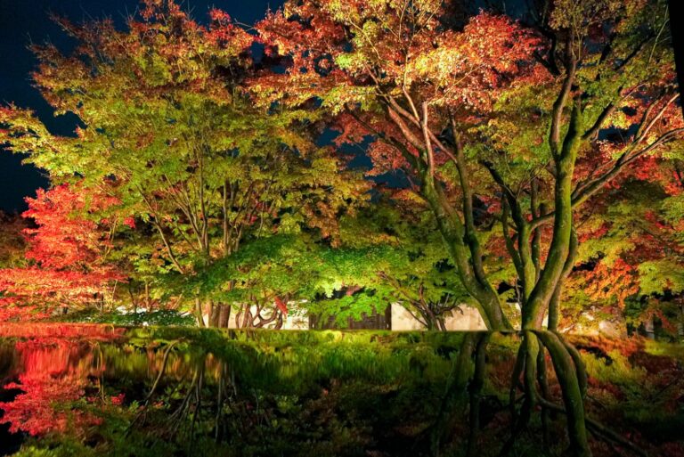 【京の美をめぐる旅-京都×お寺×工芸・アートツアー】西陣エリアの複数のお寺で開催される工芸とアートの展覧会と伝統工芸の工房を巡るツアーが11月14日よりスタート！のメイン画像