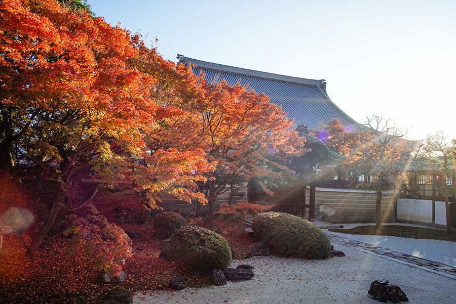【京の美をめぐる旅-京都×お寺×工芸・アートツアー】西陣エリアの複数のお寺で開催される工芸とアートの展覧会と伝統工芸の工房を巡るツアーが11月14日よりスタート！のサブ画像1