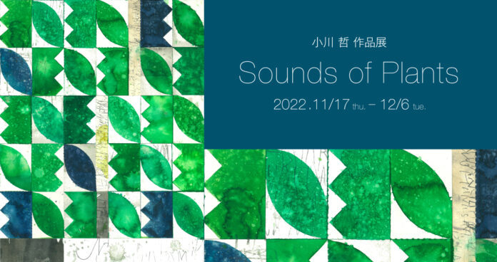 【アルフレックス大阪】小川 哲 作品展「Sounds of Plants」を開催のメイン画像