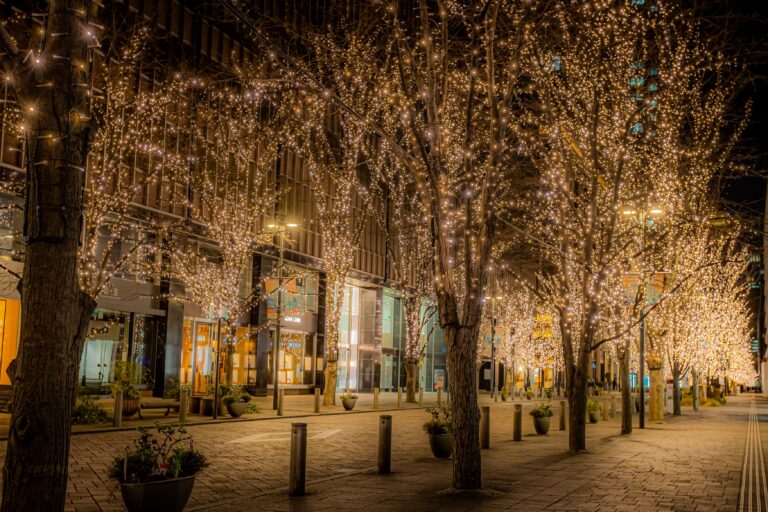 三菱一号館美術館「ヴァロットン―黒と白」 【4日間限定・一足早いクリスマス企画】 12月6日～9日、各日16時以降先着50名様にオリジナルコースタープレゼント！のメイン画像