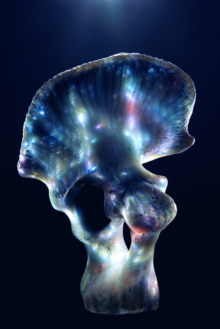 西武渋谷店のアーティスティックなクリスマス、特殊メイクアップアーティスト松岡象一郎による「光のオブジェ」が彩るのメイン画像