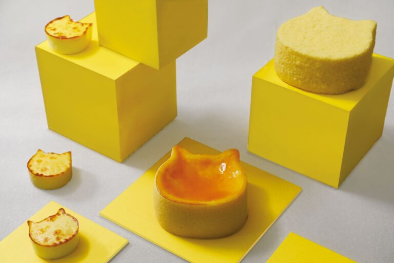 【11/11～新パッケージに！ねこ好きさん必見】”ねこ”をモチーフとしたフードショップ「ねこねこ」は、ギフトにもおすすめのチーズケーキや焼き菓子のパッケージをリニューアル！SNSキャンペーンも実施！のメイン画像