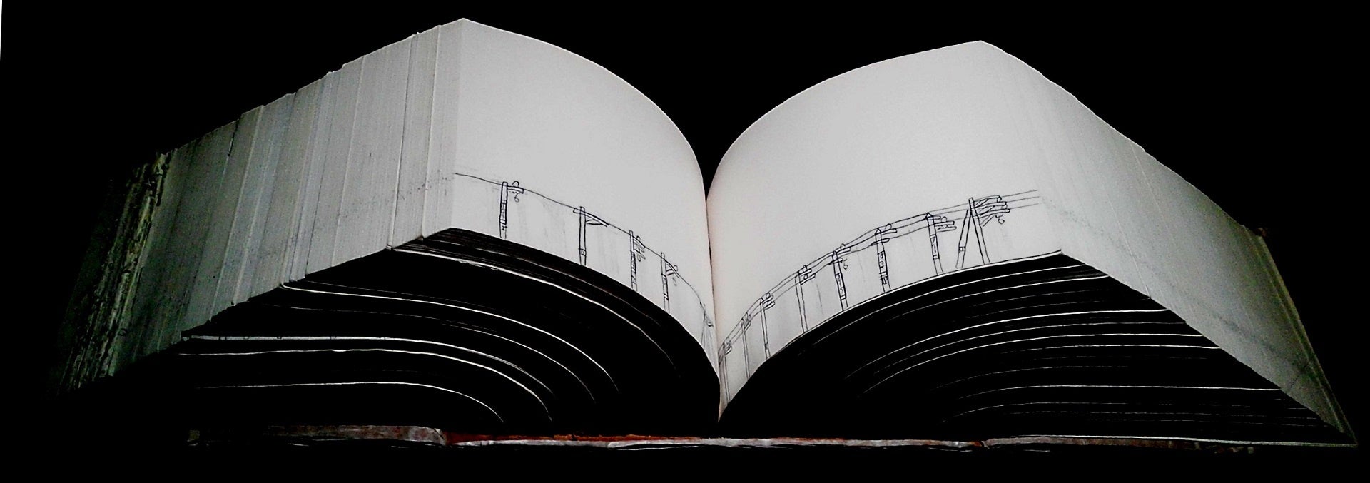 アール・ブリュット ゼン＆ナウ Vol.2　「Echo こだま返る風景」開催のお知らせのサブ画像4_磯野貴之《でんちゅうでんせん》2012-2013年　作家蔵　撮影・提供：特定非営利法人障害者アート支援工房COCOPELLI