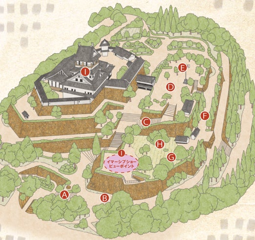 「Art+ +高知城 ひかりの花図鑑-牧野富太郎と植物を愛した画家たち-」高知城夜間イベントを開催のサブ画像3