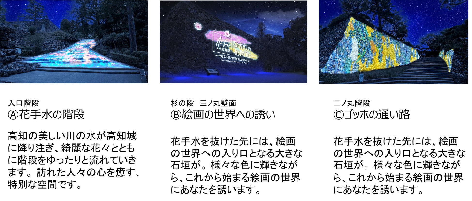 「Art+ +高知城 ひかりの花図鑑-牧野富太郎と植物を愛した画家たち-」高知城夜間イベントを開催のサブ画像4