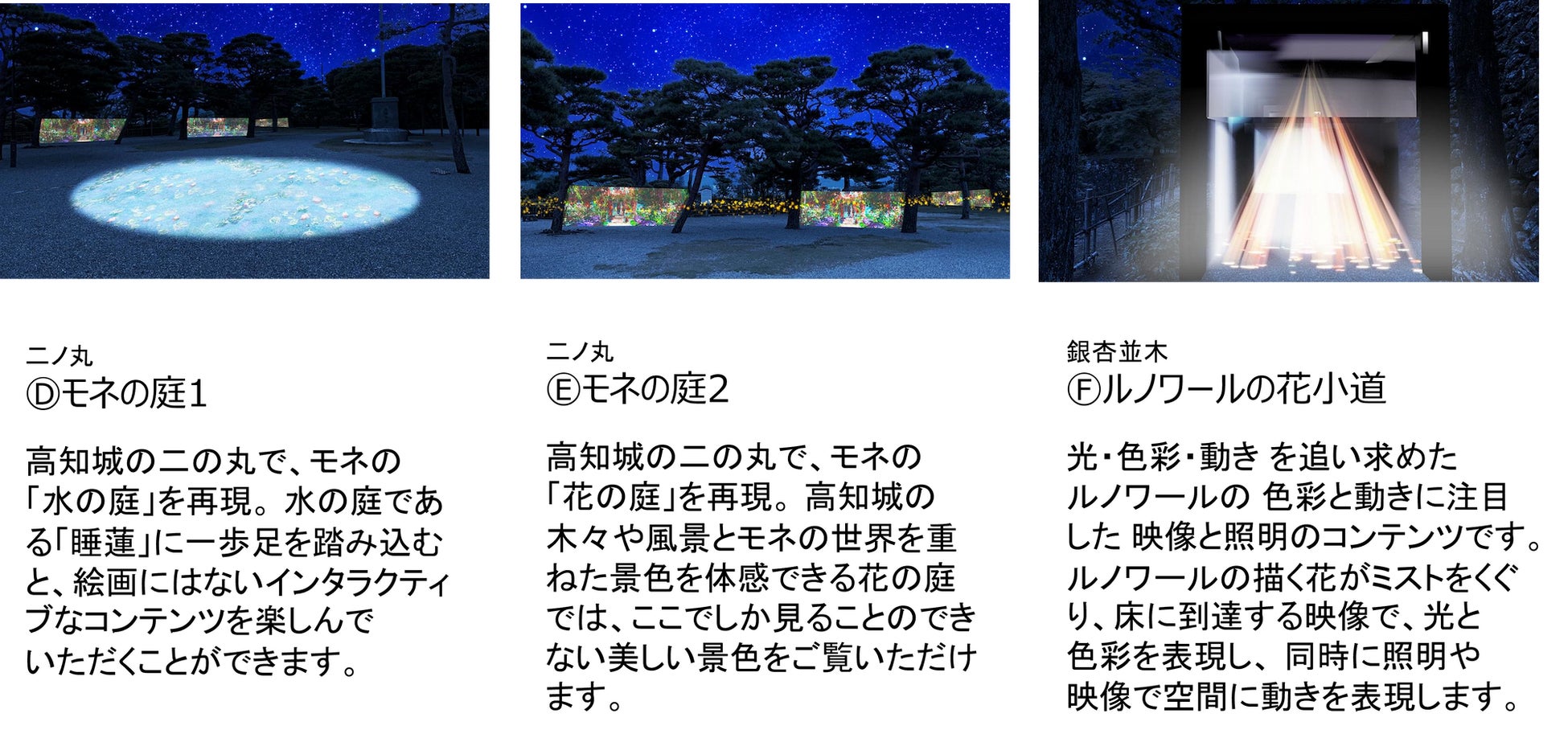 「Art+ +高知城 ひかりの花図鑑-牧野富太郎と植物を愛した画家たち-」高知城夜間イベントを開催のサブ画像5