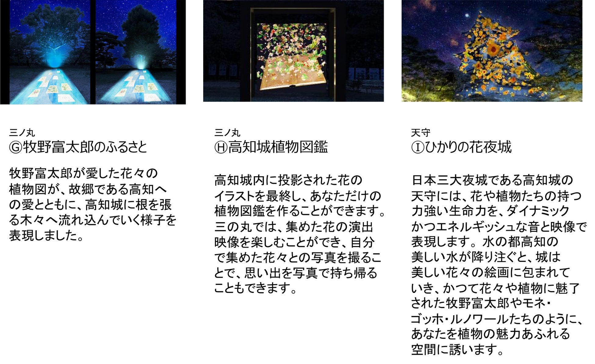 「Art+ +高知城 ひかりの花図鑑-牧野富太郎と植物を愛した画家たち-」高知城夜間イベントを開催のサブ画像6