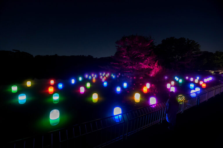 冬の期間限定で、色彩豊かに光り輝くランプが、12月1日から公開。「チームラボ ボタニカルガーデン 大阪」(長居植物園)、クリスマス、年末年始も休まずオープン。のメイン画像