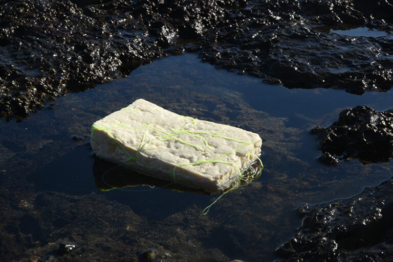 アーティスト応援型展覧会「NITO12 東京群島生活」 開催のご案内のメイン画像