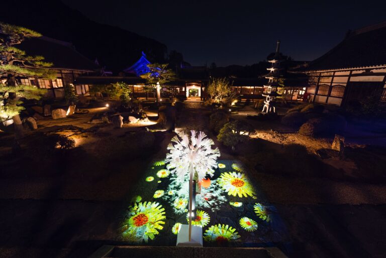 次世代型アートプロジェクト『NAKED GARDEN ONE KYOTO』宇治、リアル×メタバース体験「DANDELION PROJECT」体験を世界初公開！のメイン画像