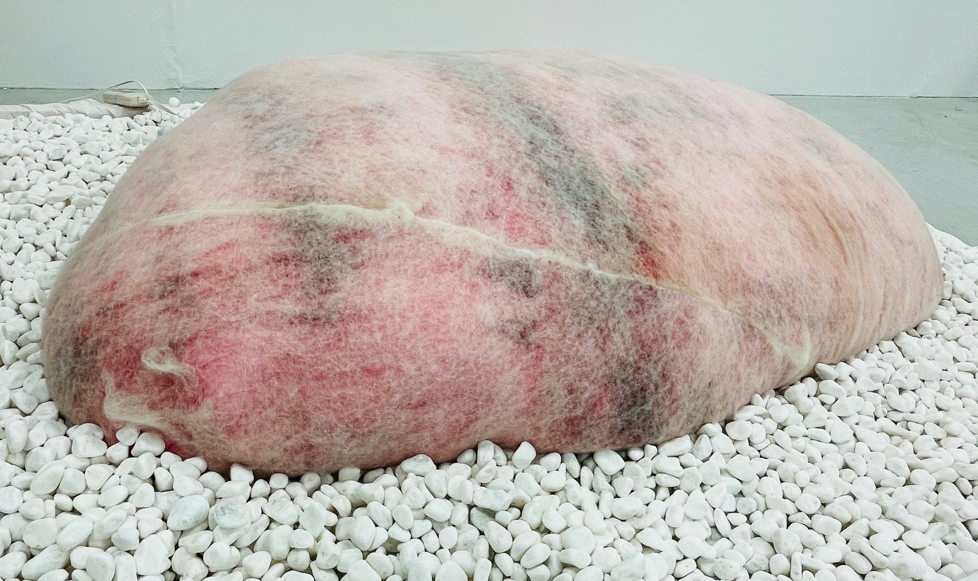 東京造形大学大学院 企画展「SKIN IS」相模原市民ギャラリーで12月16日より開催のサブ画像17_宮村のどか「躰を踏む」