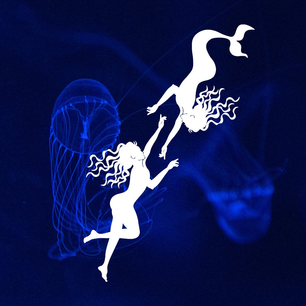 写真映像作家misaki matsuiによる写真・映像・切り絵・華道のアート個展「memories of a mermaid - 人魚の記憶」12月4日から11日まで開催のサブ画像3_作品イメージより