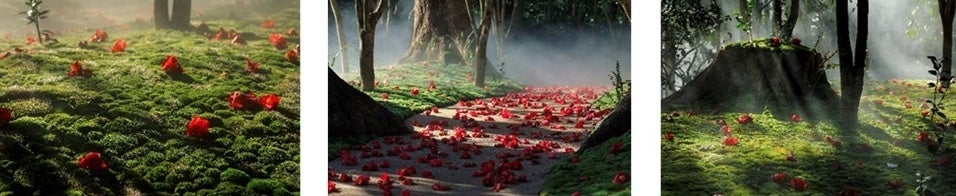【ホテル椿山荘東京】自然と芸術を融合し、空間全体を作品としてご体感いただく「椿絵巻(つばきえまき)～東京椿インスタレーション・アート～」を2月8日「つ(2)ば(8)きの日」より3週間限定で公開のサブ画像2