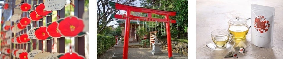 【ホテル椿山荘東京】自然と芸術を融合し、空間全体を作品としてご体感いただく「椿絵巻(つばきえまき)～東京椿インスタレーション・アート～」を2月8日「つ(2)ば(8)きの日」より3週間限定で公開のサブ画像3