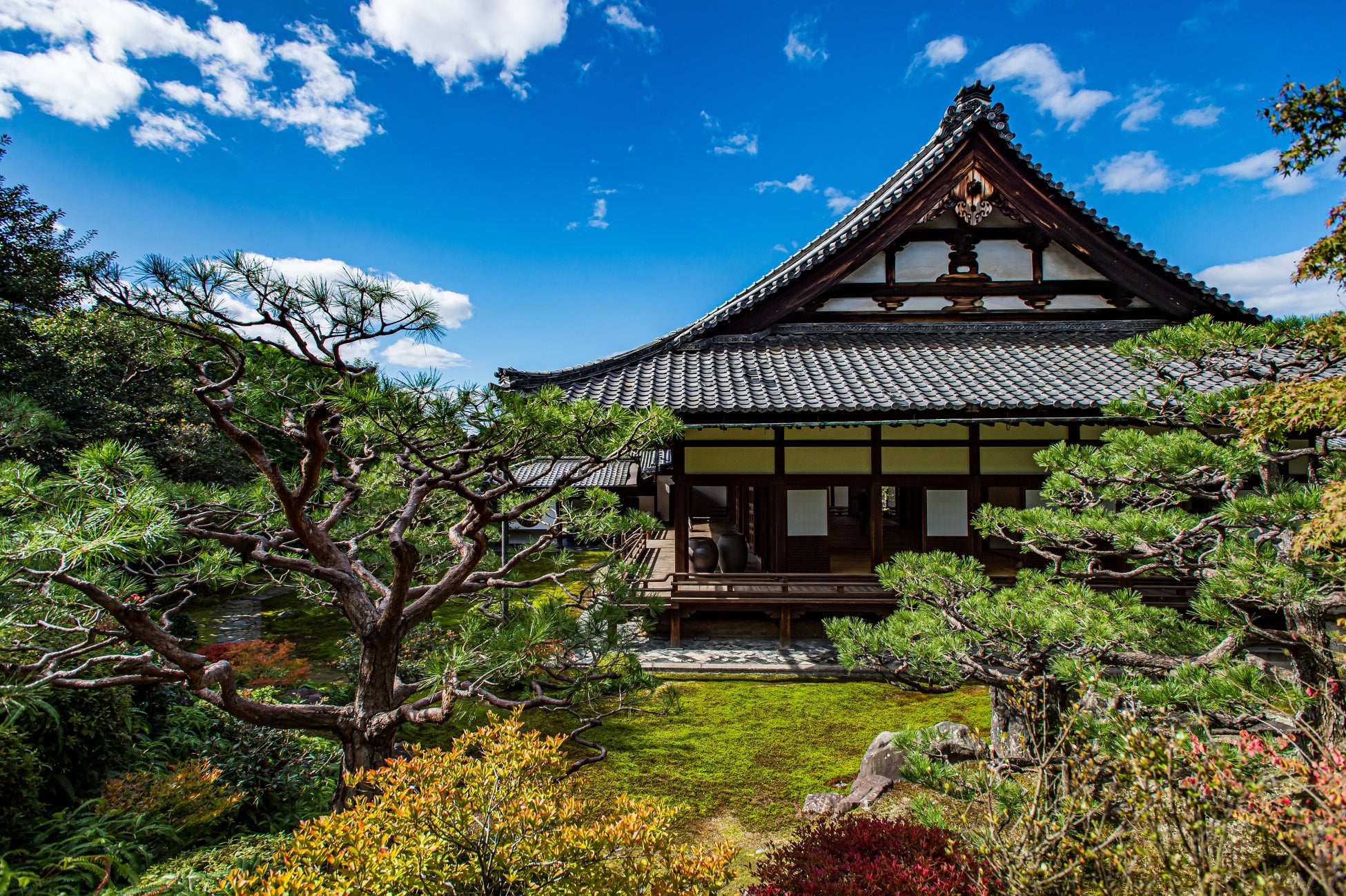 京都、「両足院マルチバース展2022」開催。華道家元池坊、中山晃子も参画する、多元的なお寺での最新アート展覧会のサブ画像2
