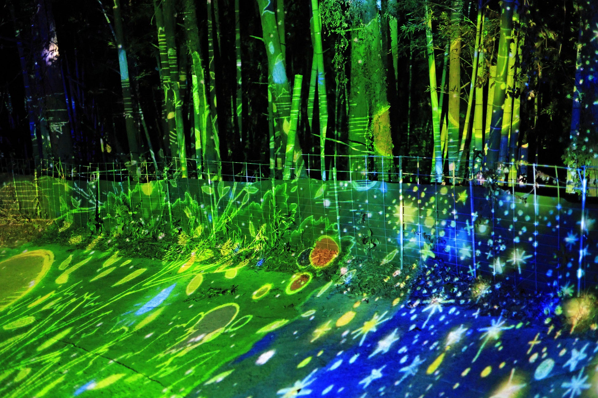 浮羽稲荷神社ライトアップアート2023のサブ画像8