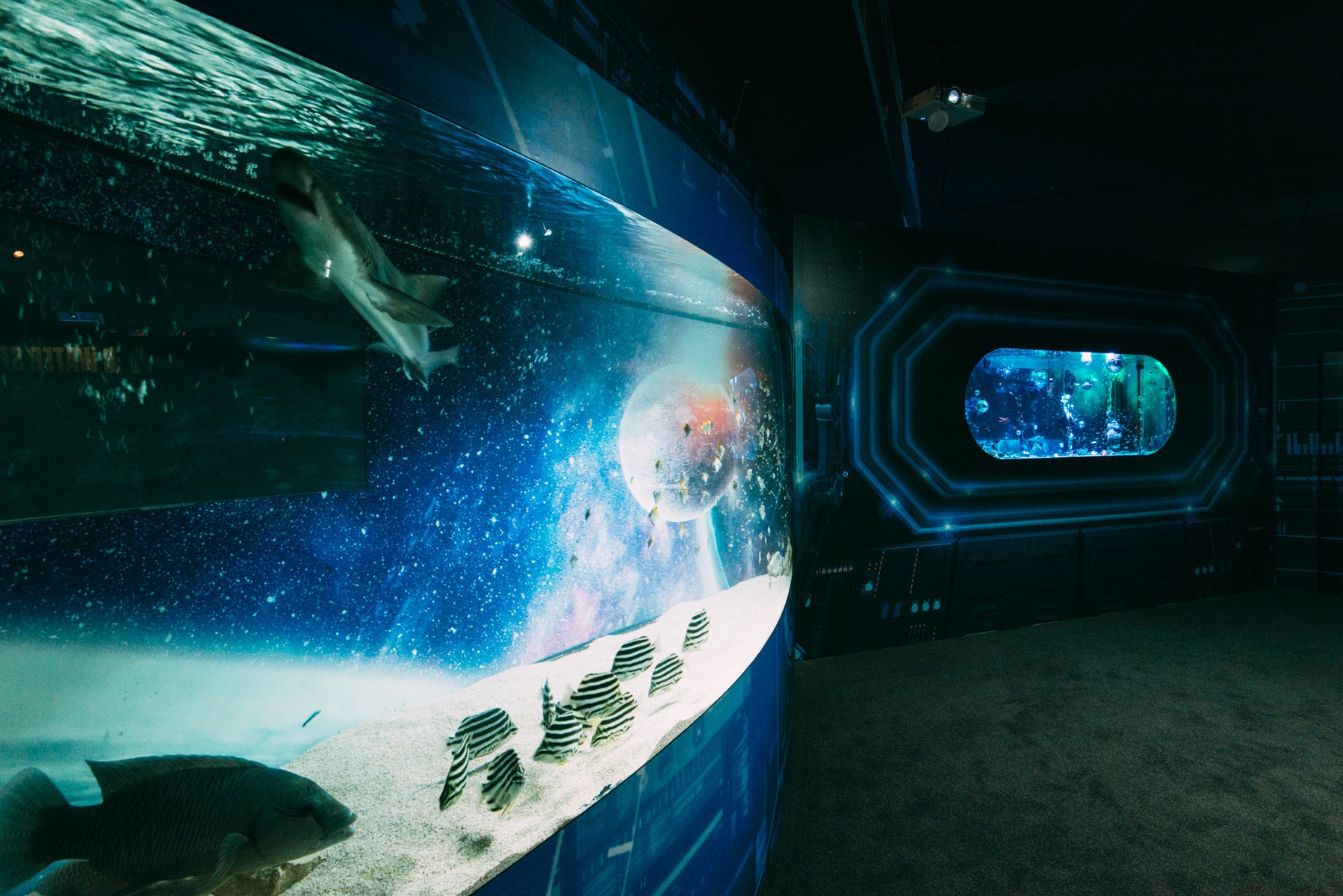 期間限定水族館 アクアリウム宇宙旅行「UNDER WATER SPACE」オープンから2年で来場者数18万人突破の大反響を受け 二度目の開催期間の延長が決定！のサブ画像3