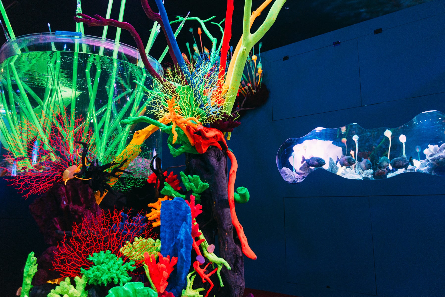 期間限定水族館 アクアリウム宇宙旅行「UNDER WATER SPACE」オープンから2年で来場者数18万人突破の大反響を受け 二度目の開催期間の延長が決定！のサブ画像4