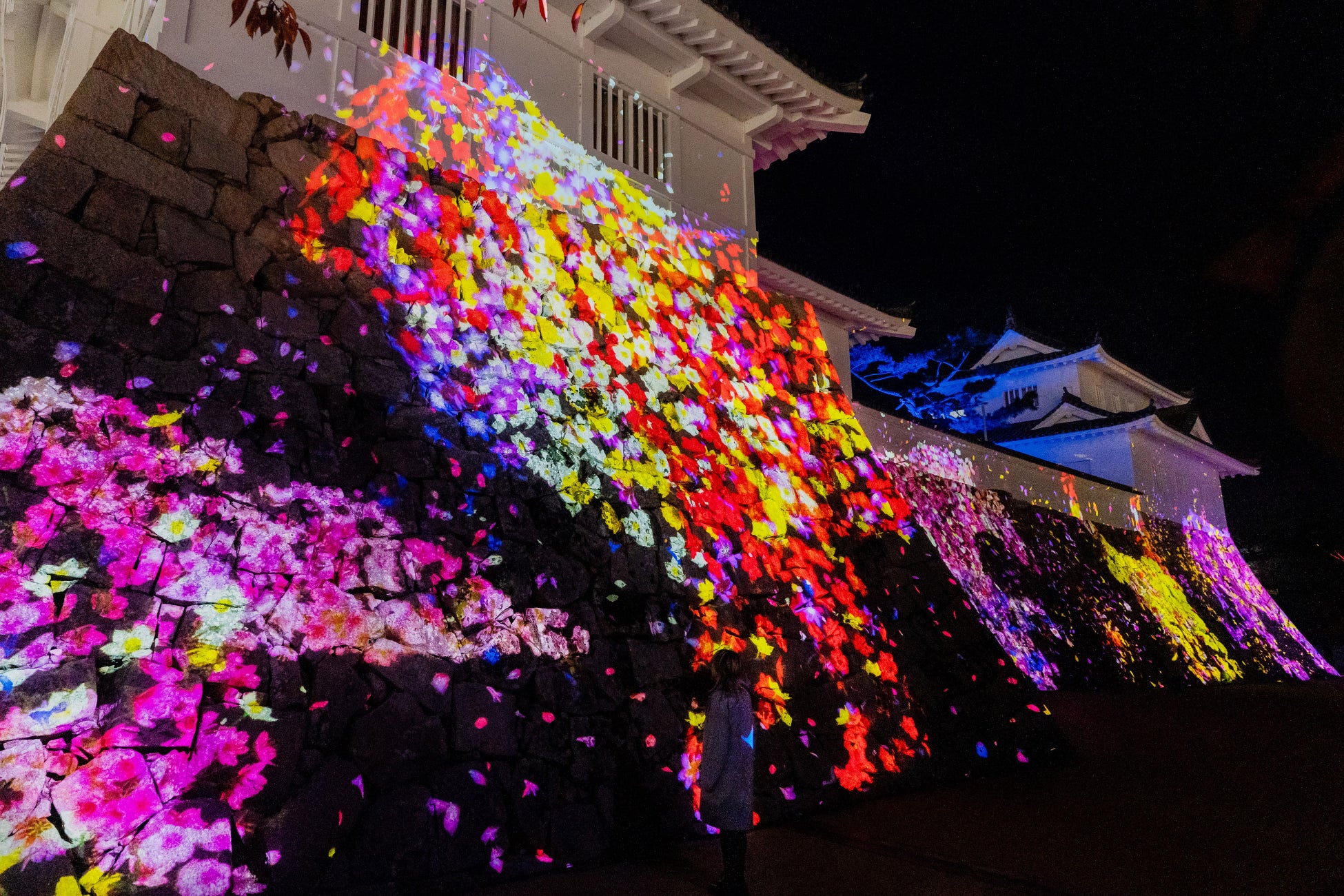 「チームラボ 福山城 光の祭」明日12月2日から開催。築城400年を迎えた広島・福山城を光のアート空間に。のサブ画像3_チームラボ《石垣に住まう花と共に生きる動物達》©チームラボ 