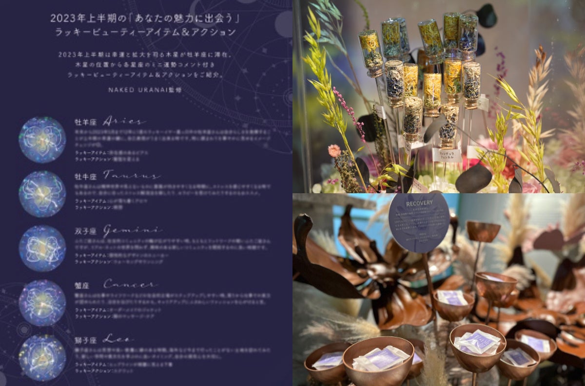 年末年始特別企画！「あなたの魅力に出会う」癒しのプレゼントのサブ画像1
