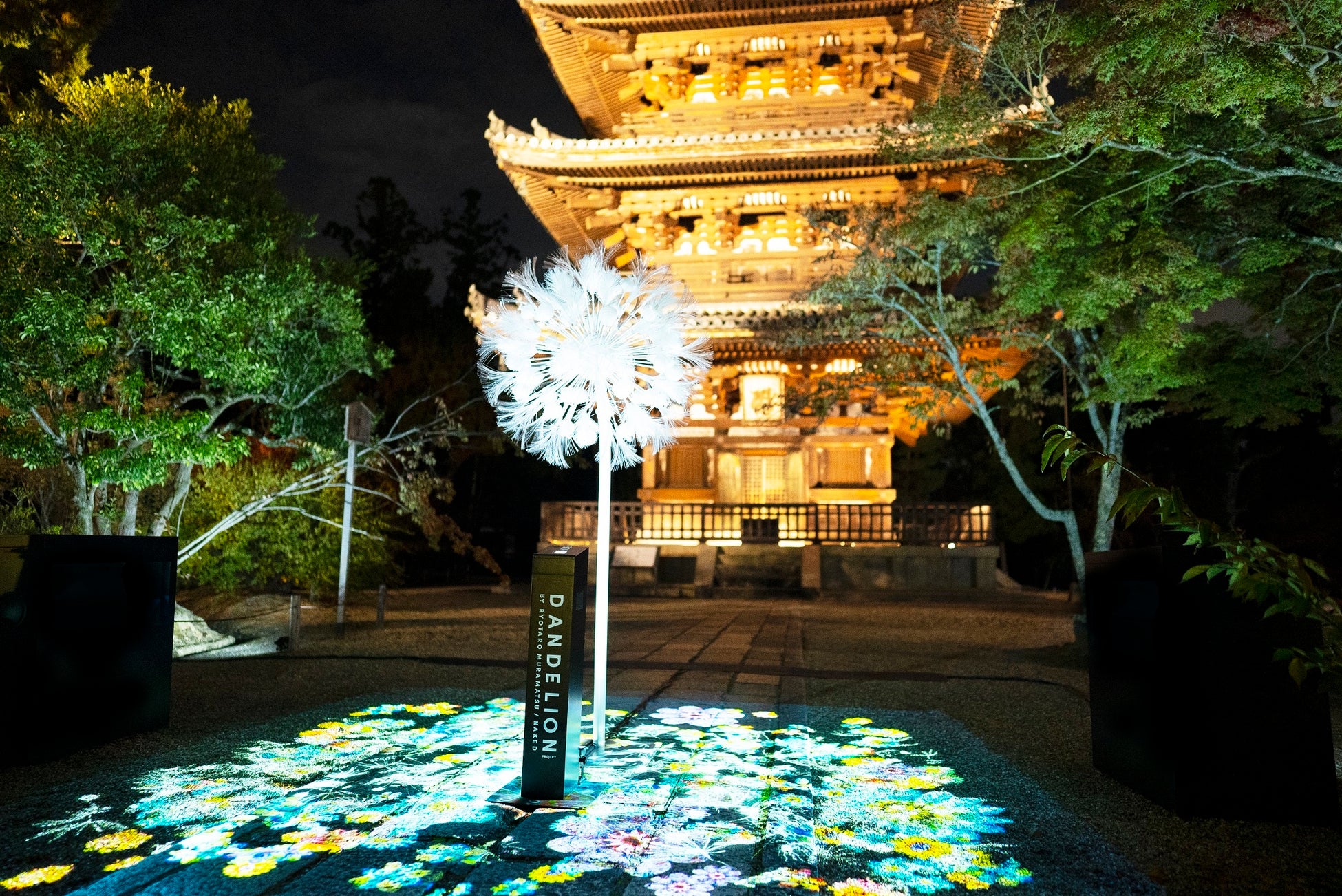 アーティスト 村松亮太郎の世界に繋がる参加型アート『DANDELION PROJECT』、京都市役所本庁舎前に再臨のサブ画像16