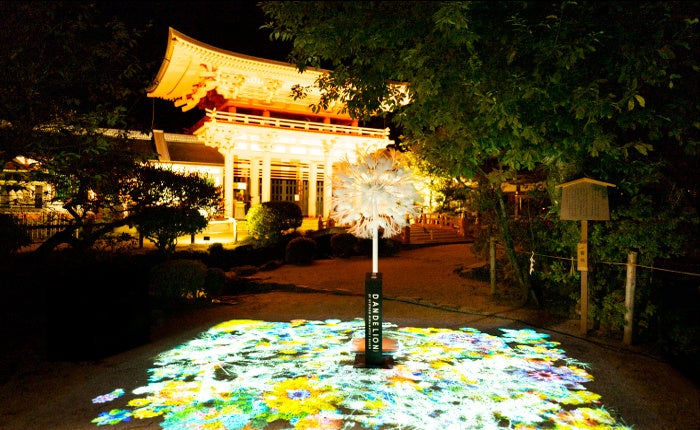 アーティスト 村松亮太郎の世界に繋がる参加型アート『DANDELION PROJECT』、京都市役所本庁舎前に再臨のサブ画像6