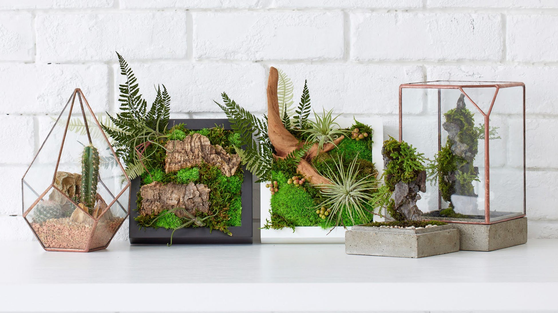 アート植物ブランド「WOOTANG（ウータン）」がリニューアルオープン！住まいをアートな空間に変える新商品を販売のサブ画像14