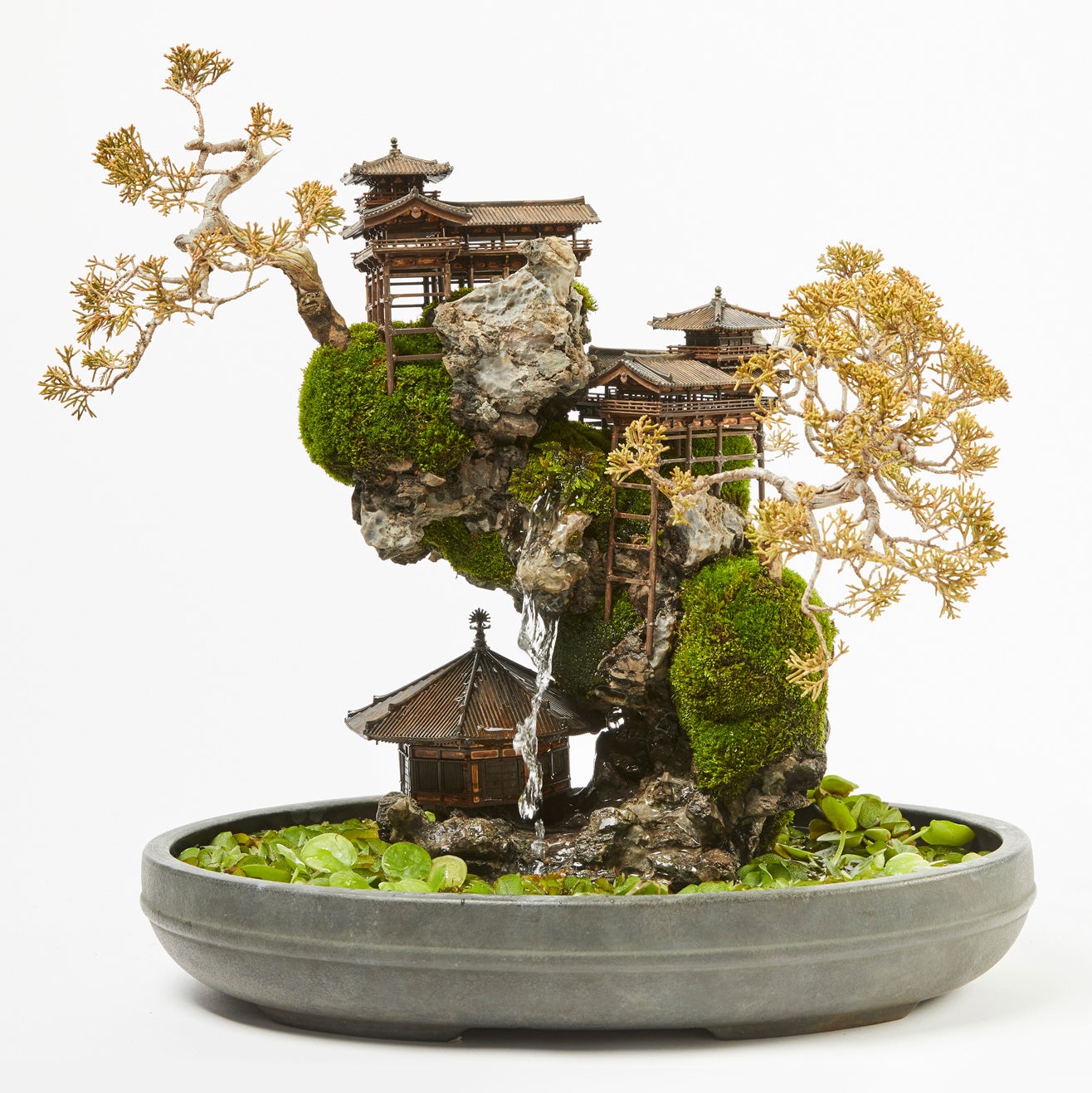 アート植物ブランド「WOOTANG（ウータン）」がリニューアルオープン！住まいをアートな空間に変える新商品を販売のサブ画像17_CLIFF BONSAI（断崖盆栽）
