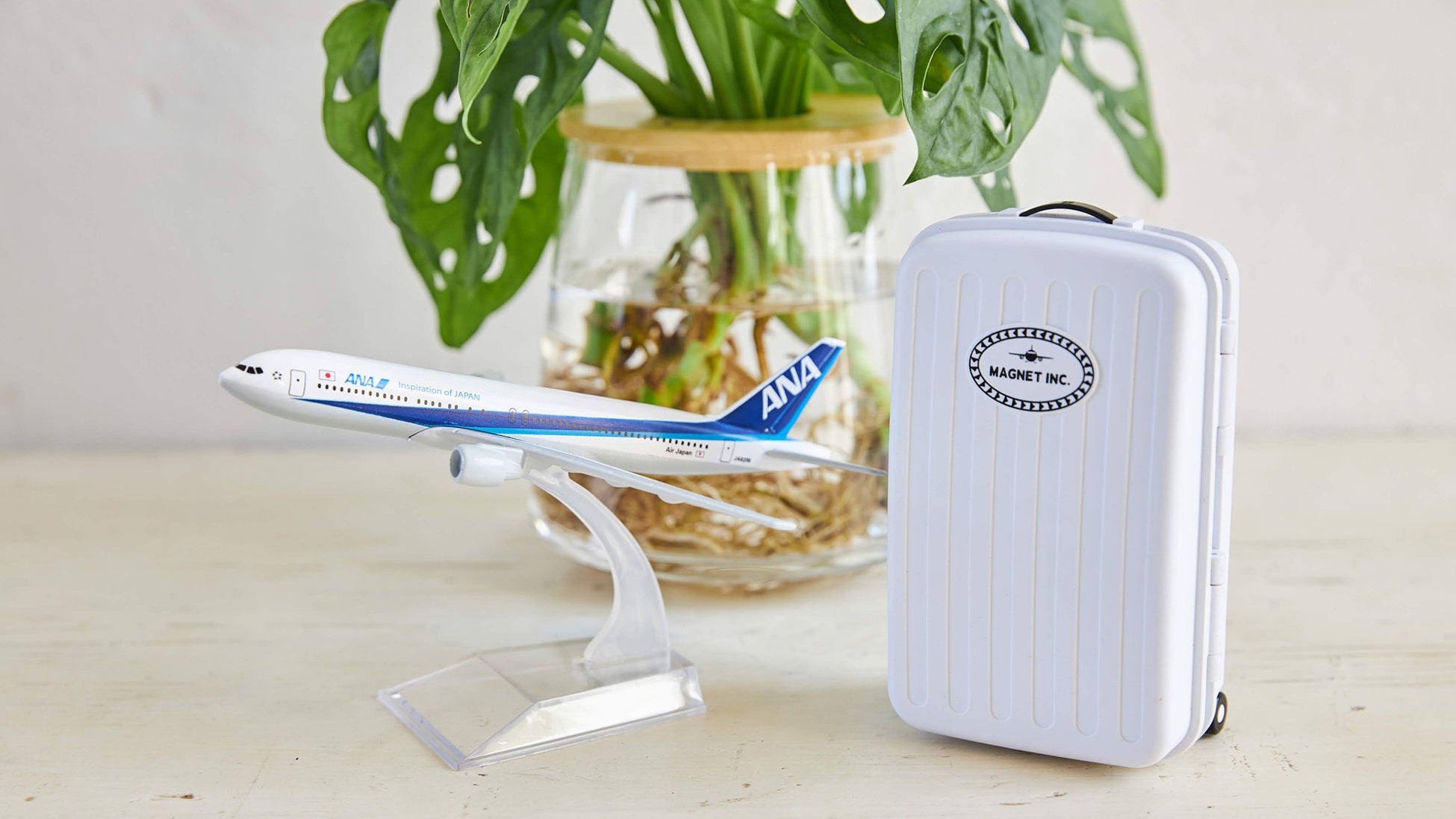 アート植物ブランド「WOOTANG（ウータン）」がリニューアルオープン！住まいをアートな空間に変える新商品を販売のサブ画像3_＜①Easy＞水やりは週に1回、水を足すだけ。 水やりを忘れて枯らす心配はありません。 旅行などで家を留守にしても安心です。