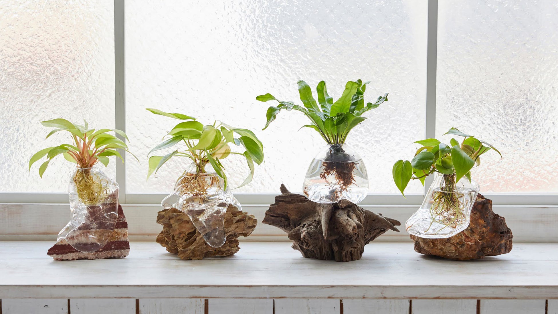 アート植物ブランド「WOOTANG（ウータン）」がリニューアルオープン！住まいをアートな空間に変える新商品を販売のサブ画像7_ガラス作家がつくる水耕栽培専用の器「オリジナルVase」シリーズ（税込18,700円〜）