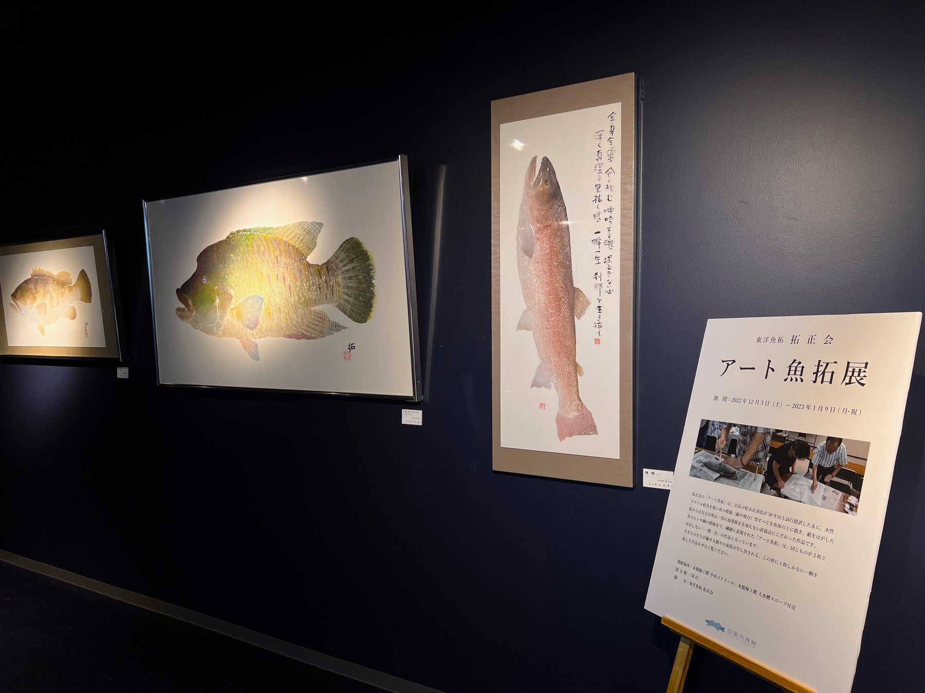 生きものの一瞬を拓すアート作品 「東洋魚拓 拓正会 アート魚拓展」開催中のサブ画像6_館内展示の様子