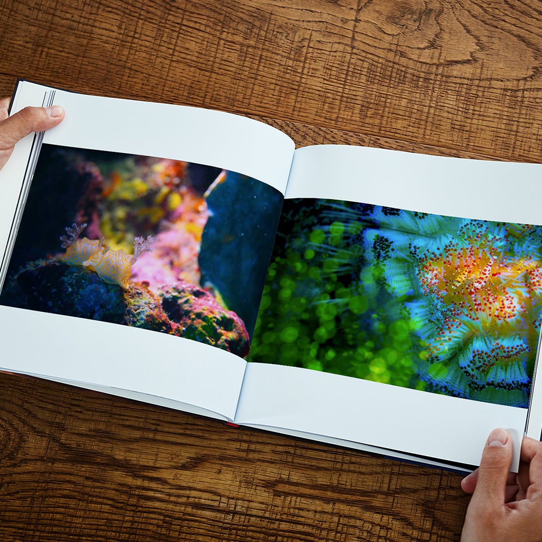 海中世界の「精霊」を色鮮やかに捉えた写真集“MELUSINA（メリュジーナ）”を発売のサブ画像2