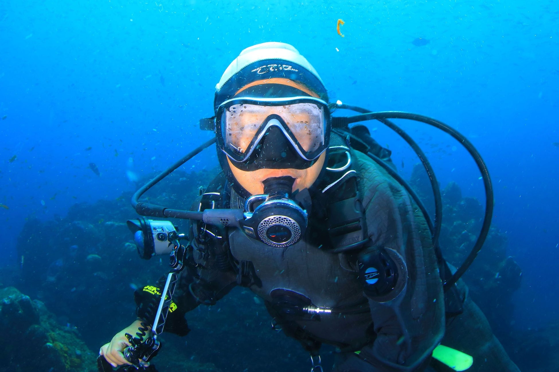海中世界の「精霊」を色鮮やかに捉えた写真集“MELUSINA（メリュジーナ）”を発売のサブ画像6