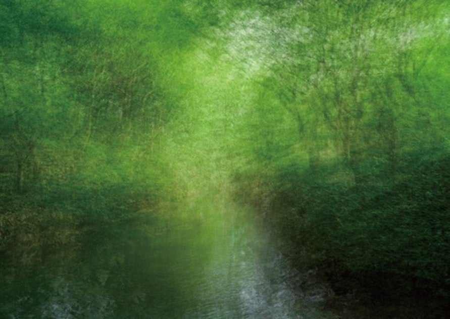 写真家・清永安雄の30年にわたる活動を一望する個展「Moment」を料亭旅館：南禅寺参道菊水にて開催！のサブ画像3_6% ©︎ Yasuo Kiyonaga