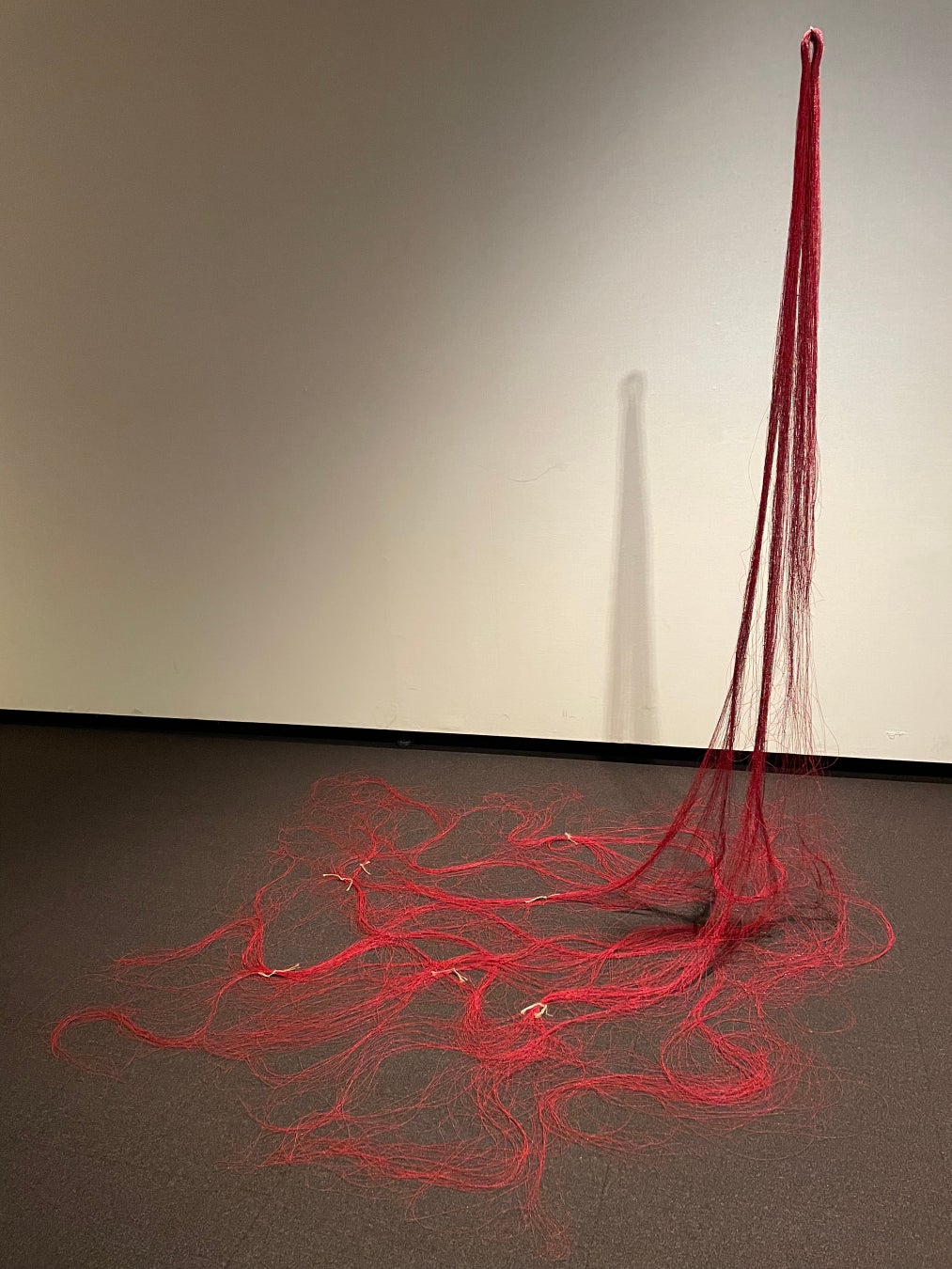 1月21日（土）から開催の「Kyoto Art for Tomorrow 2023 －京都府新鋭選抜展－」、受賞者決定！のサブ画像2