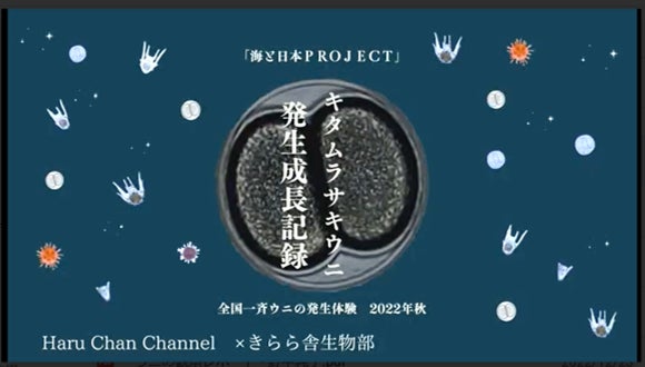 キタムラサキウニやアカウニの発生実験を通して海を学ぶイベントを実施　海と日本PROJECT【全国一斉ウニの発生体験2022年秋】を開催しましたのサブ画像5_グランプリ作品：観察レポート部門の報告スライド