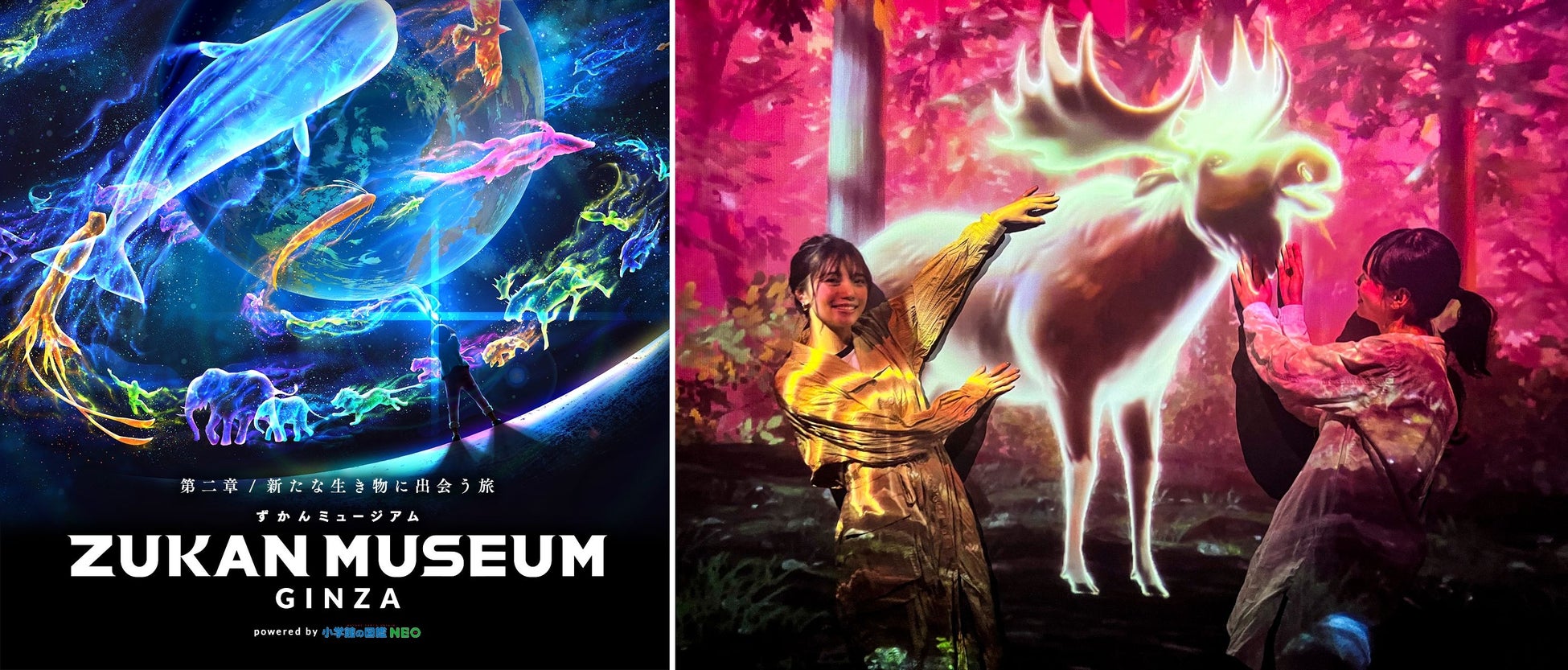 2023年も「ZUKAN MUSEUM GINZA」をお得に楽しもう！好評のプログラムが復活・営業時間の変更のお知らせのサブ画像1